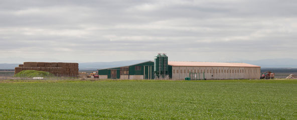 Panorámica granja